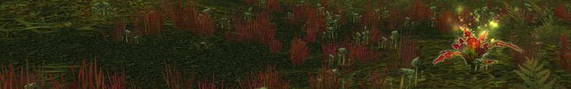 header farmspots kraeuter gromsblut