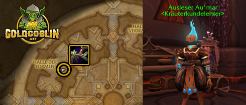 shadowlands kraeuterkunde lehrer