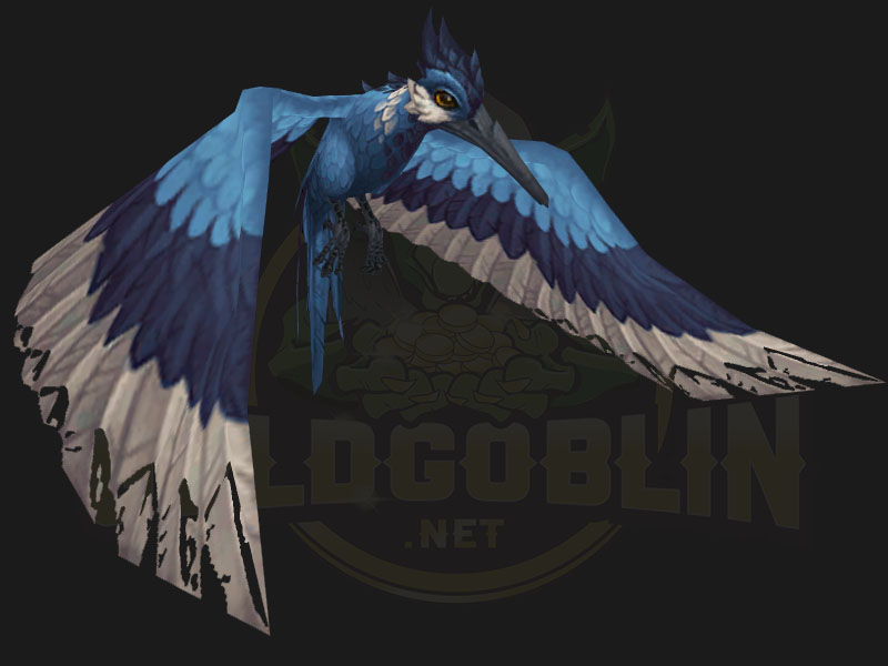Dragonflight Haustiere Sturmberuehrte Blaufeder