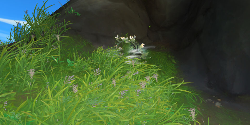 Dragonflight Steinbrich farmen