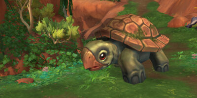 Kaeferbeiserschildkroete Thumb