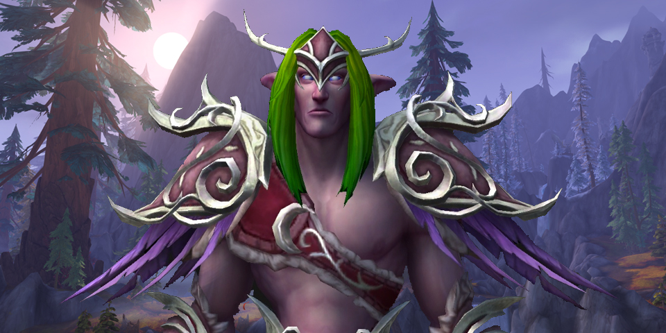 Nachtelfen Traditionsruestung