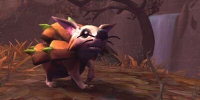 Pet Verkauf Thumb