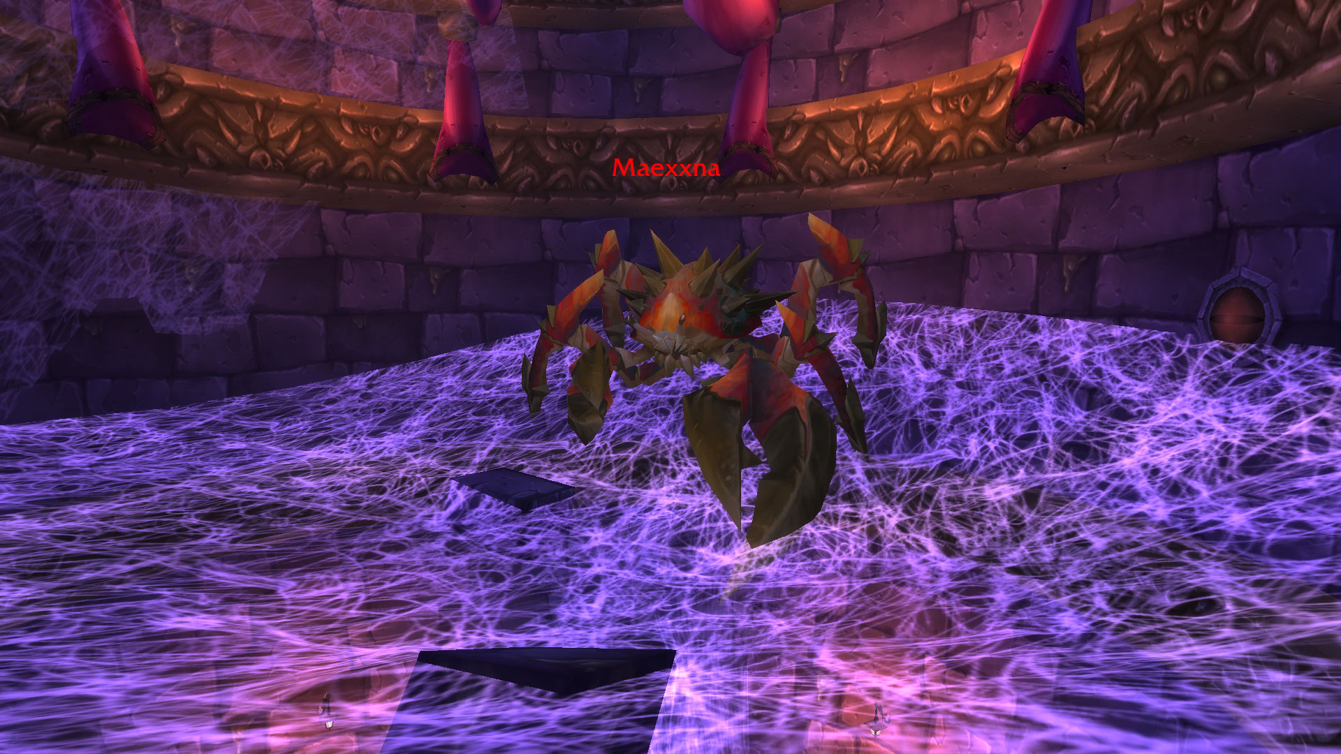 Spinne 3