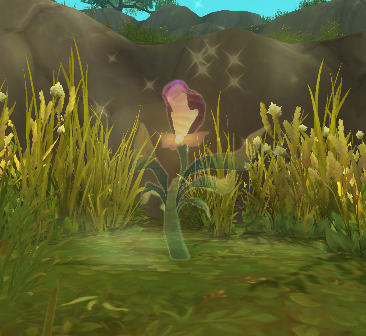 verstohlende seegensblume