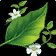 mm-ast-icon-58075