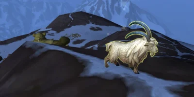 Haustierjagd