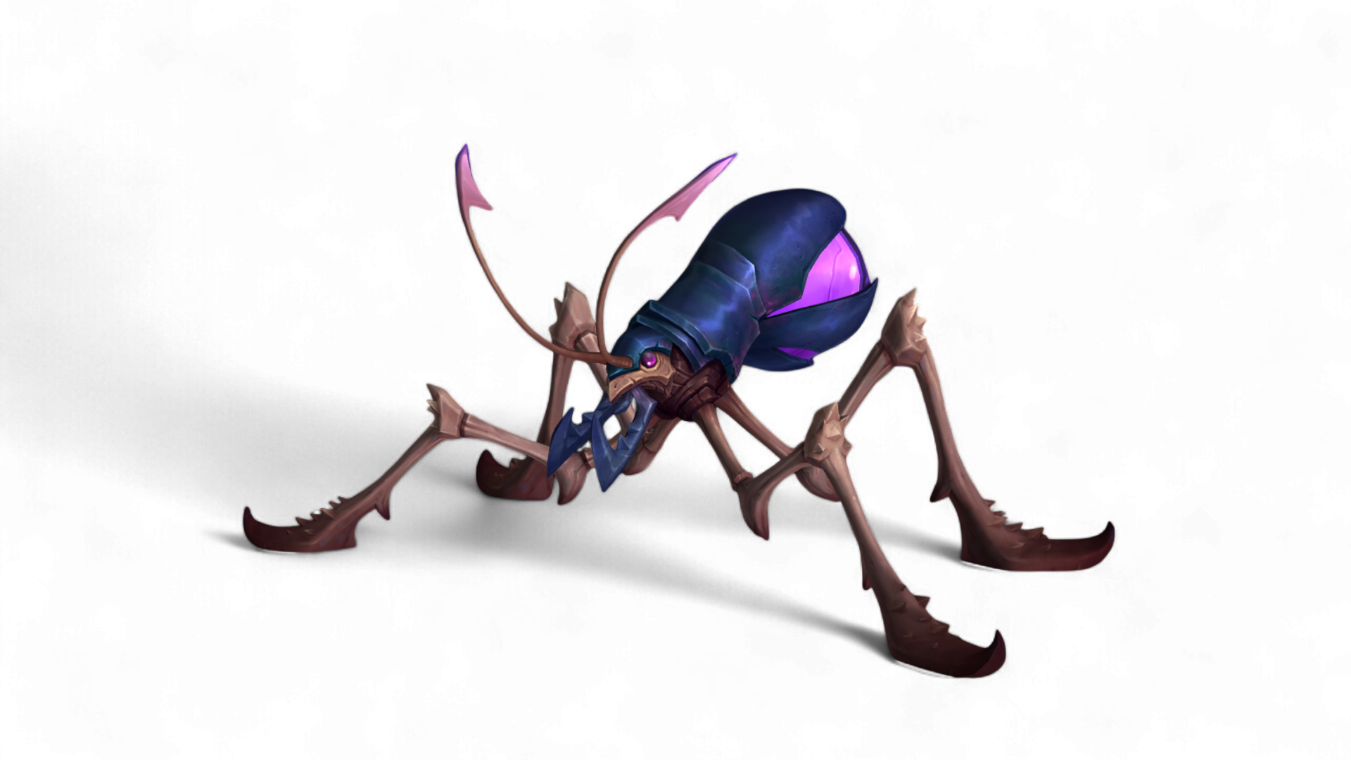 Mr Long Legs Photoroom