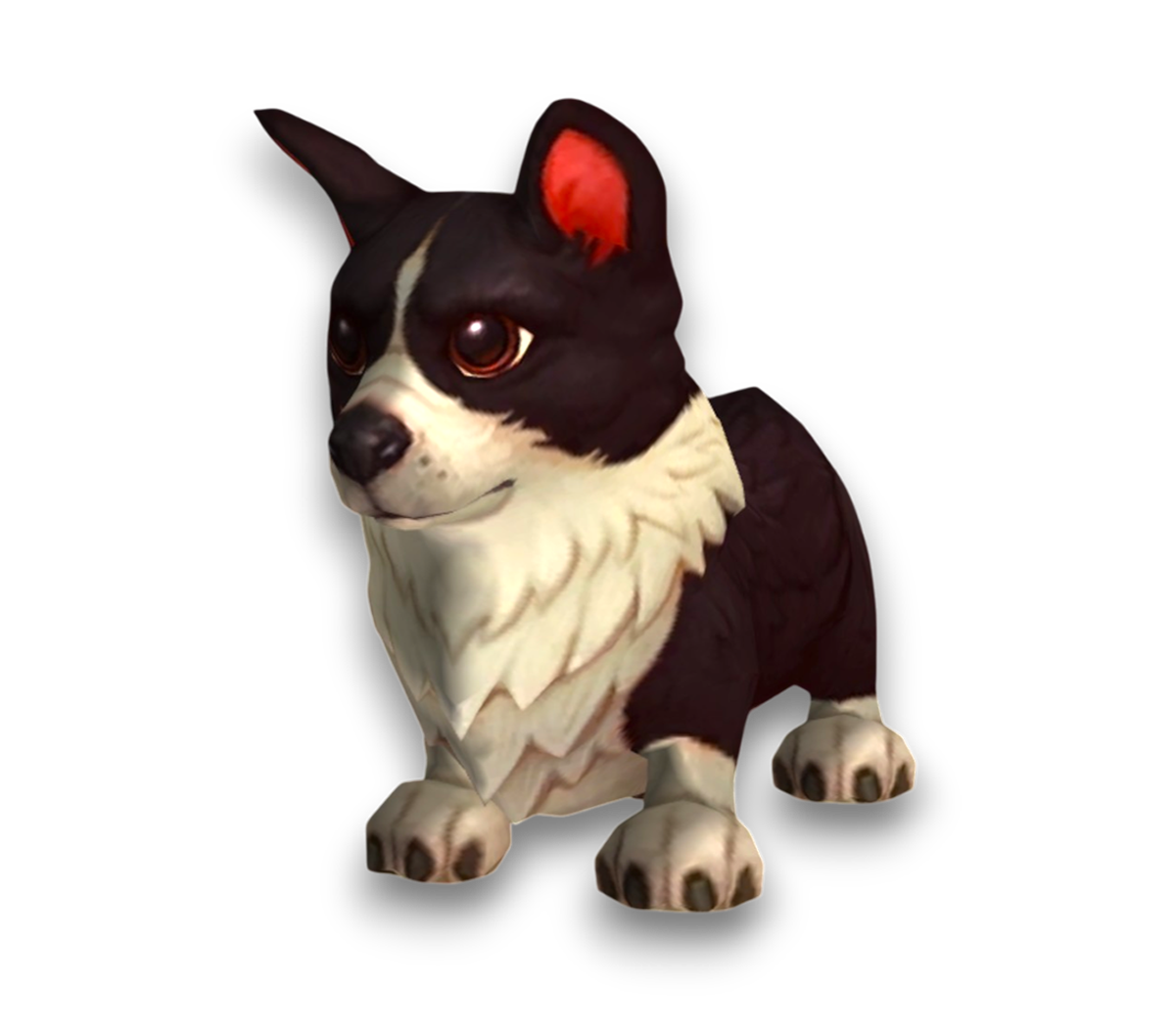 Corgnelius