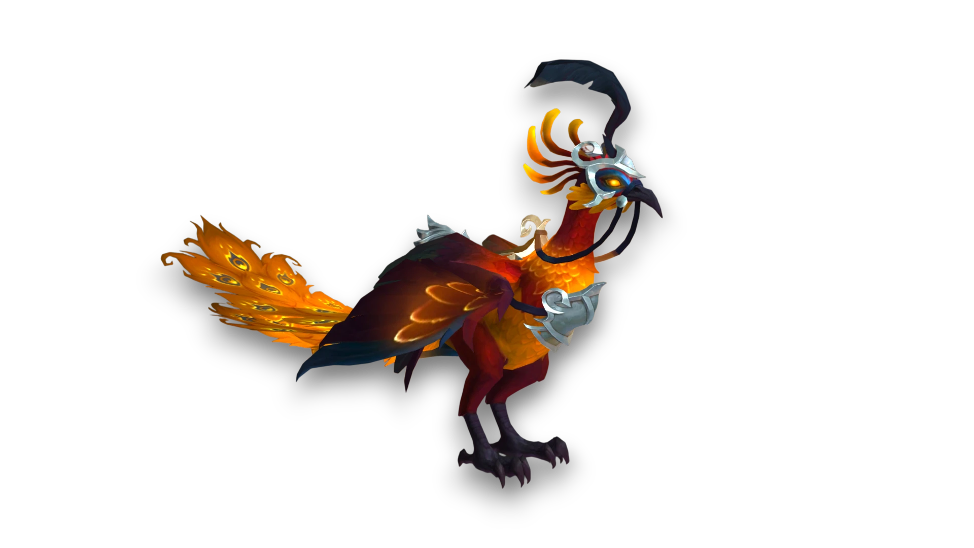 Zuegel des strahlenden Sonnenpfaus 1