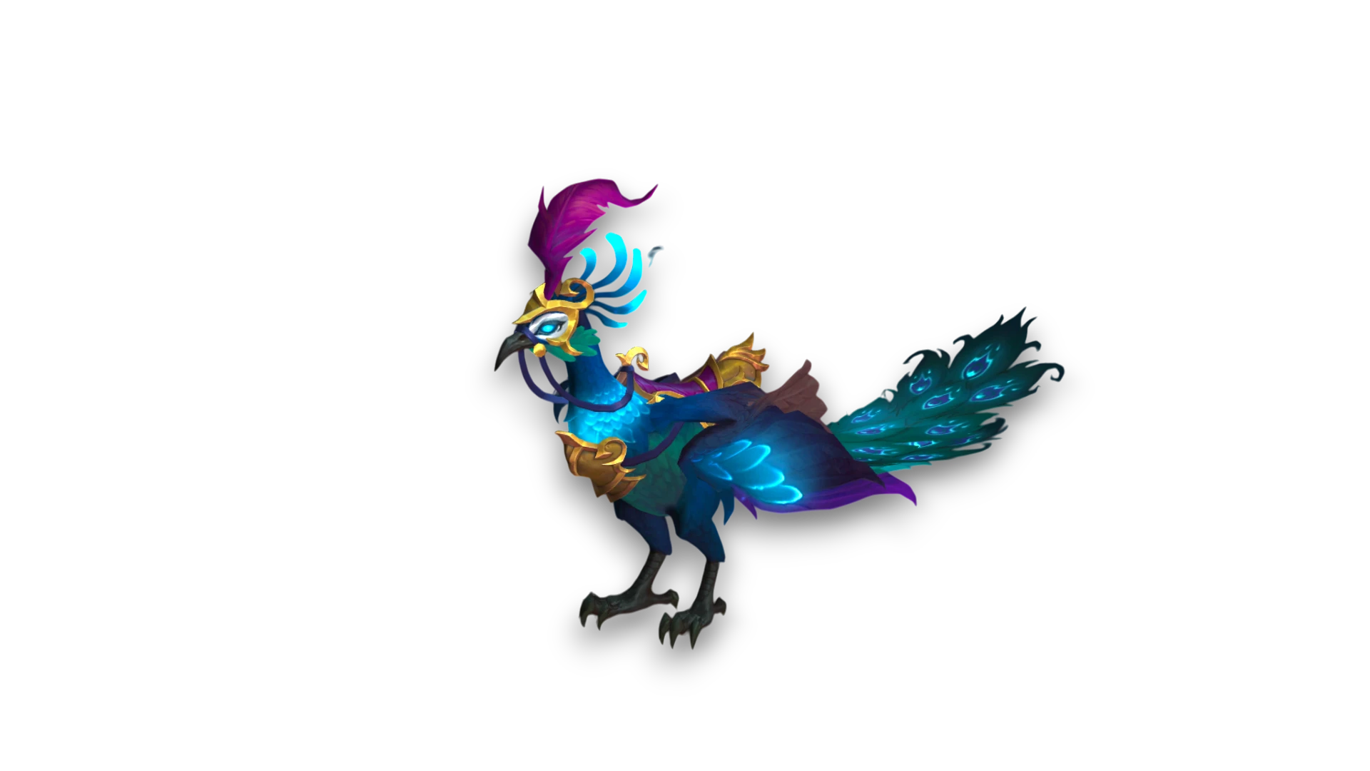 Zuegel des majestaetischen Azurpfaus