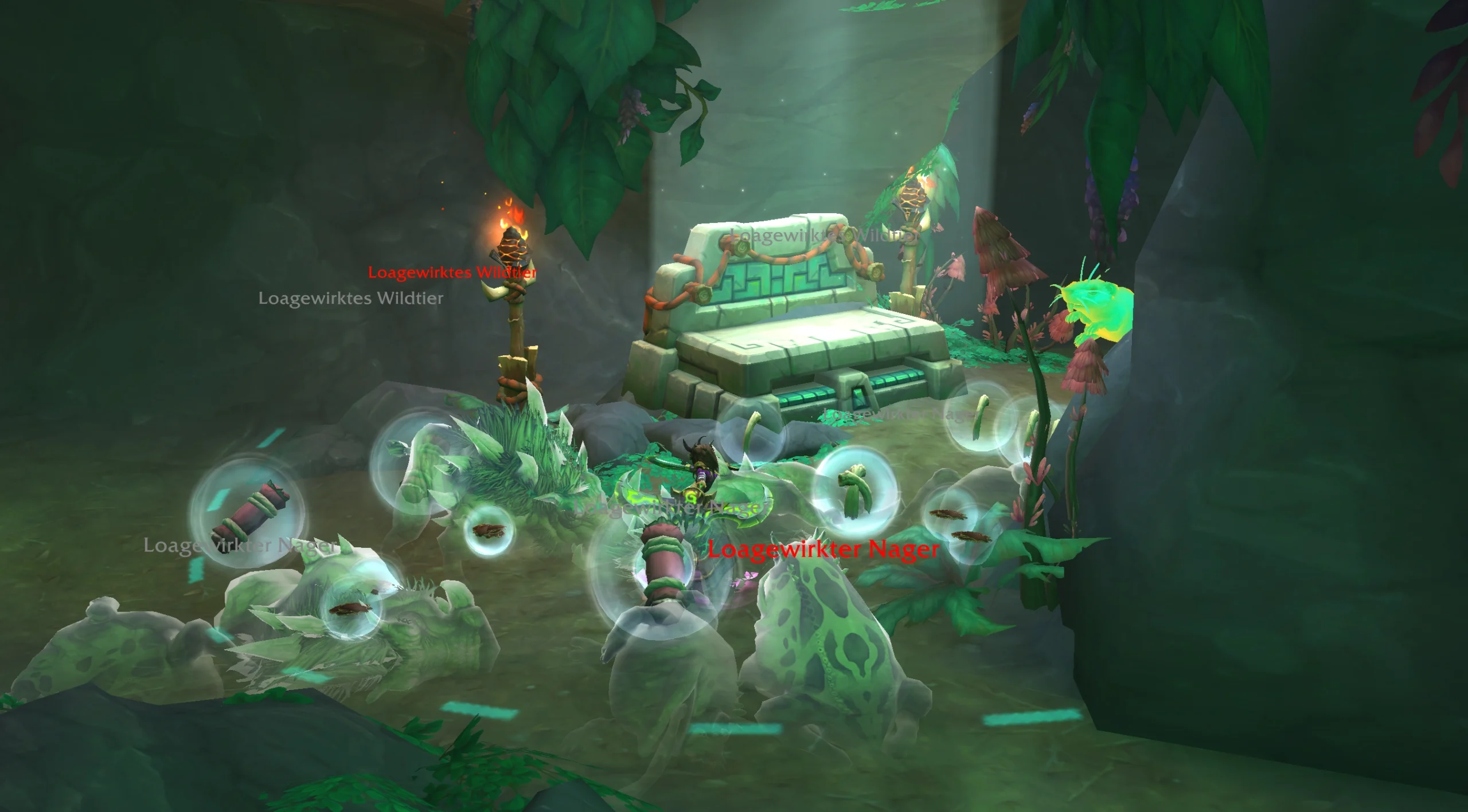 Kuerschnerreibau sammeln scaled