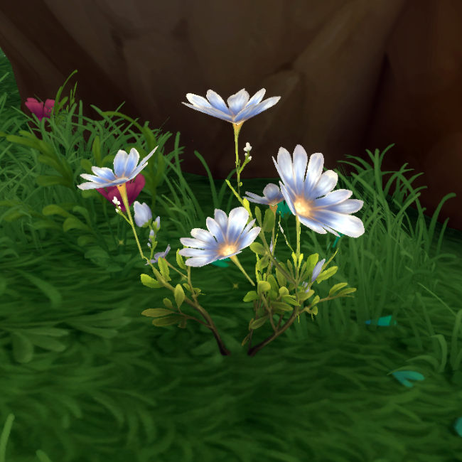 Midnight Kraeuterkunde Kraeuter Harmonieblume