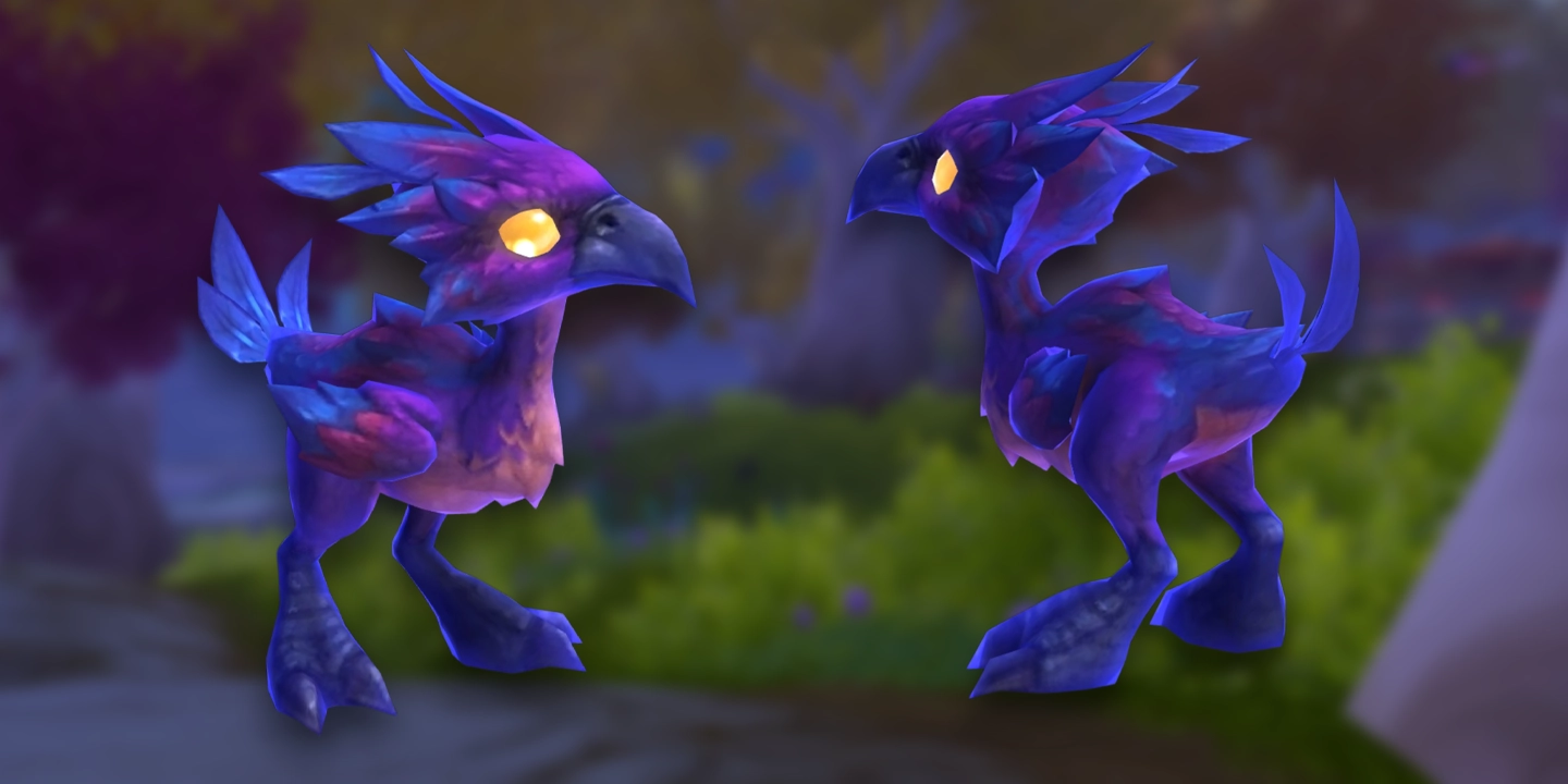 Leerenberuehrtes Kueken