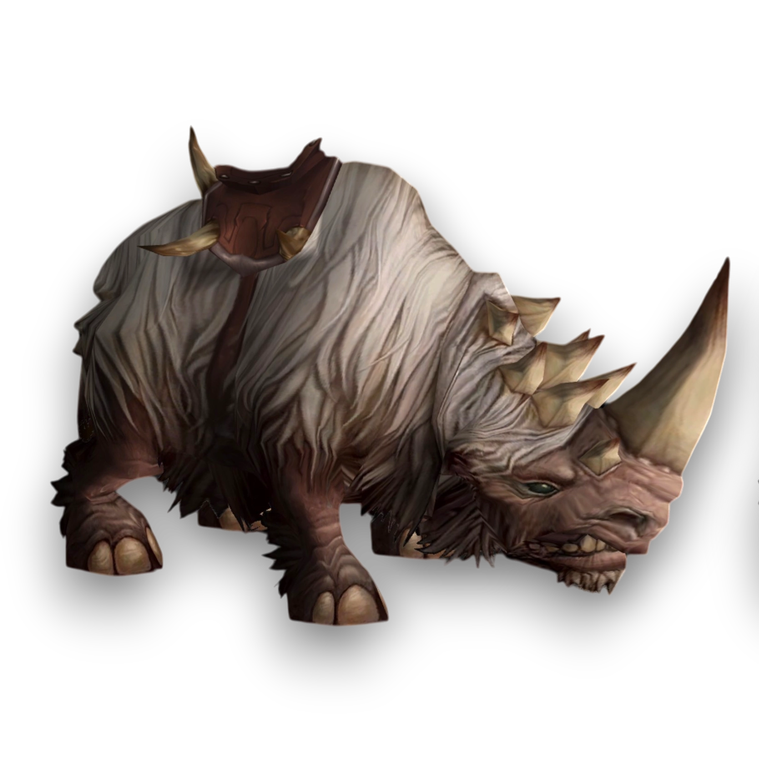 Weisses Wollrhino