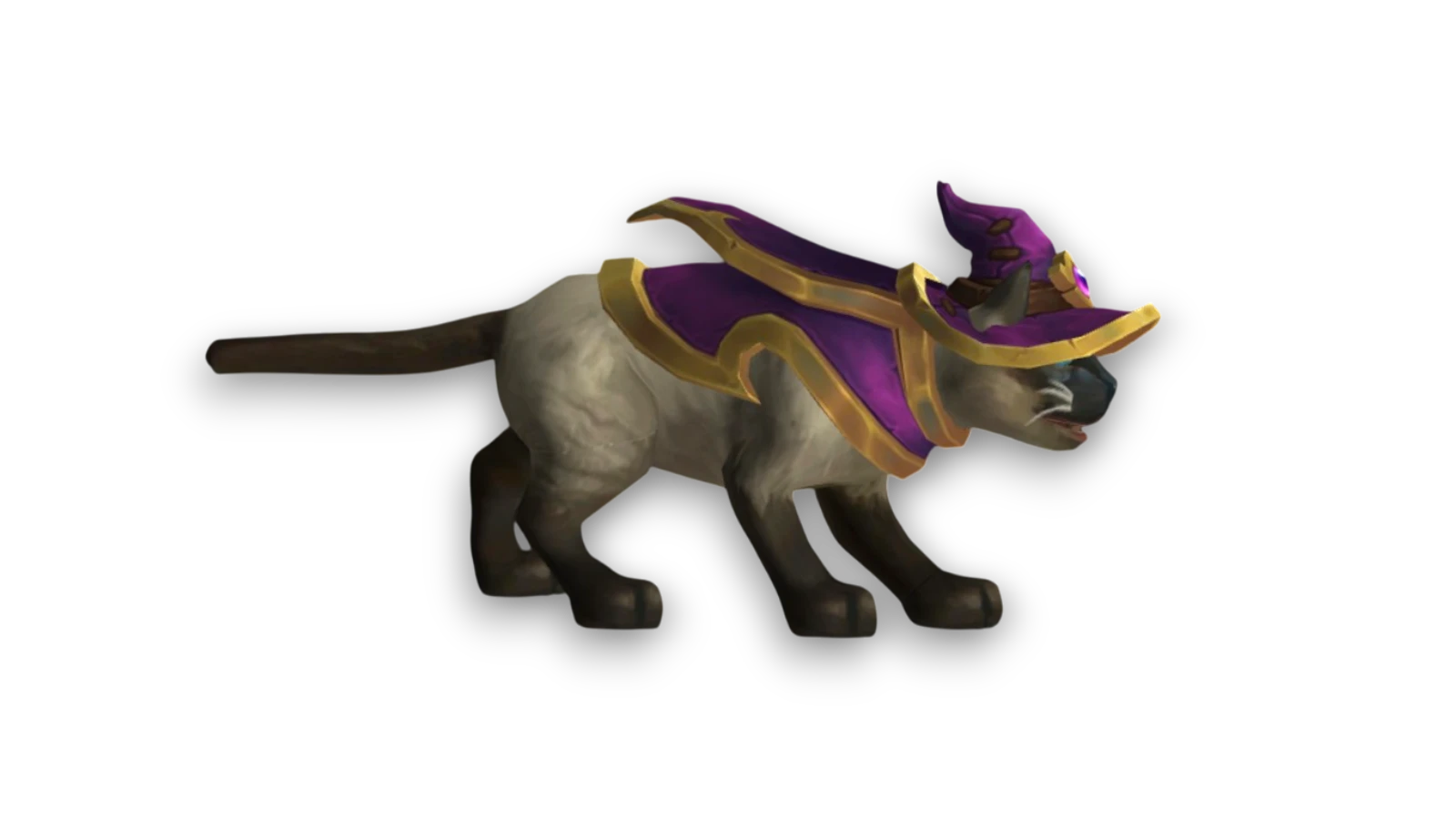 Kirin Tor Cat