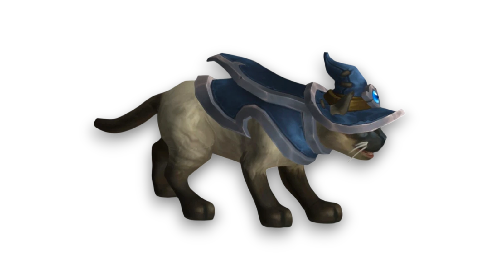 Kirin Tor Kitty