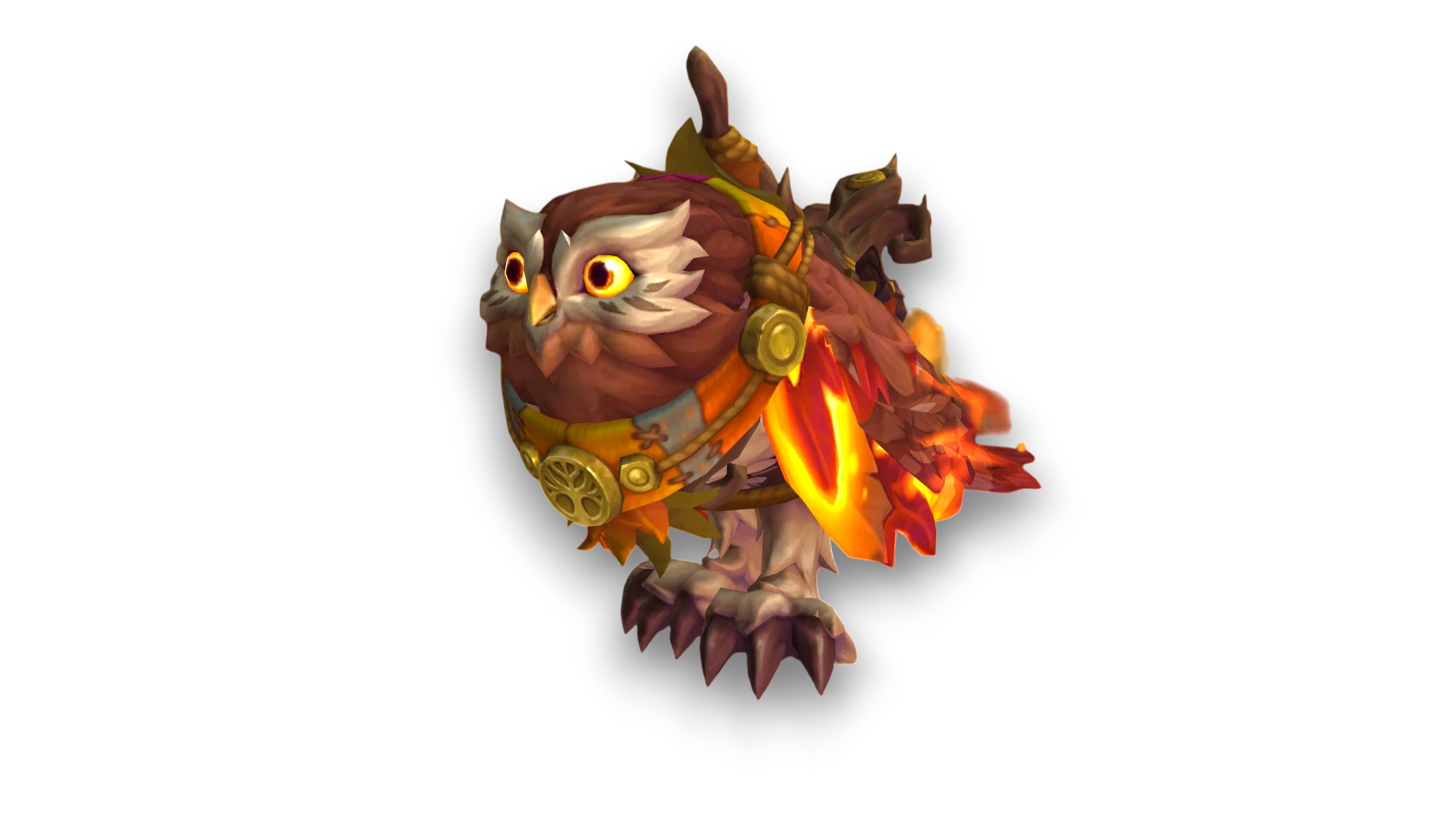 Pygmy Owl 1
