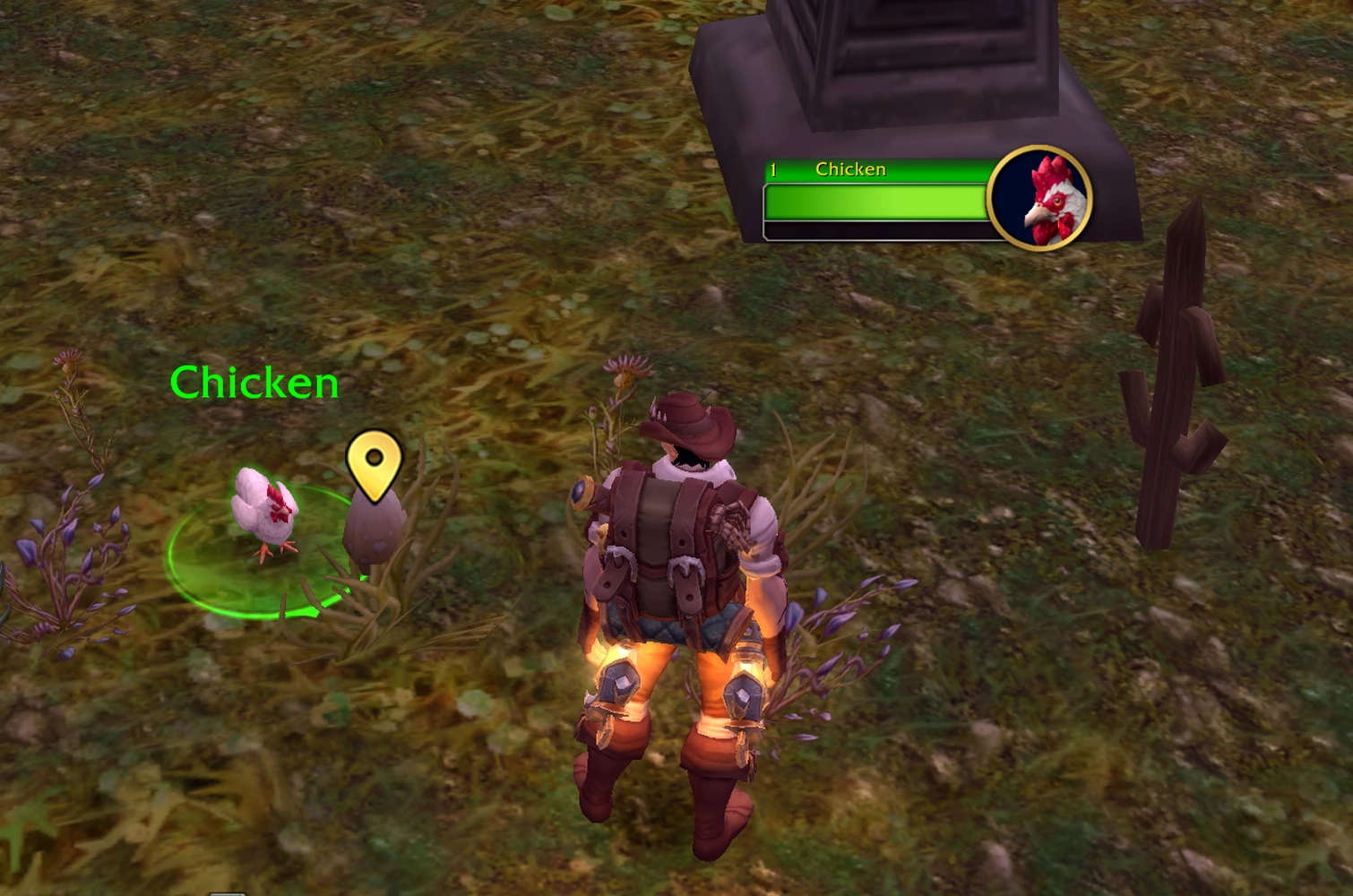 Cicken Quest