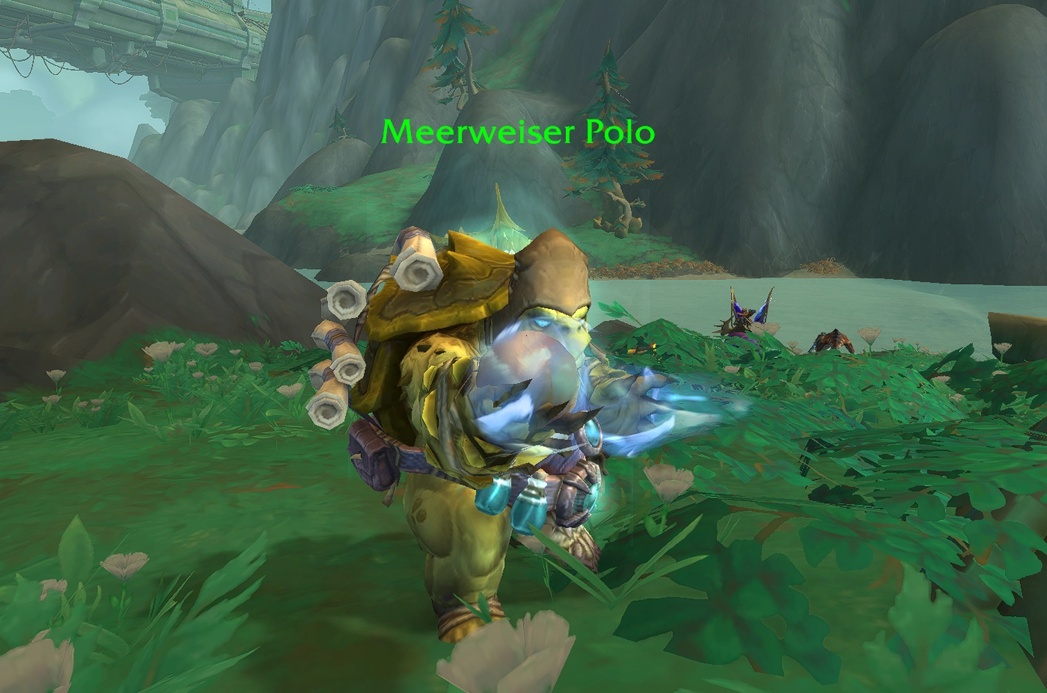 Meerweiser Polo