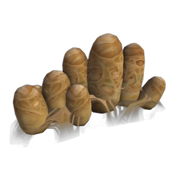 Dormant Brood Egg Cluster